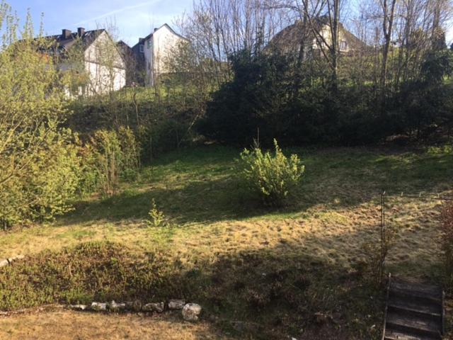 לינה וארוחת בוקר הלנברג Haus Nova Am Bollerberg מראה חיצוני תמונה