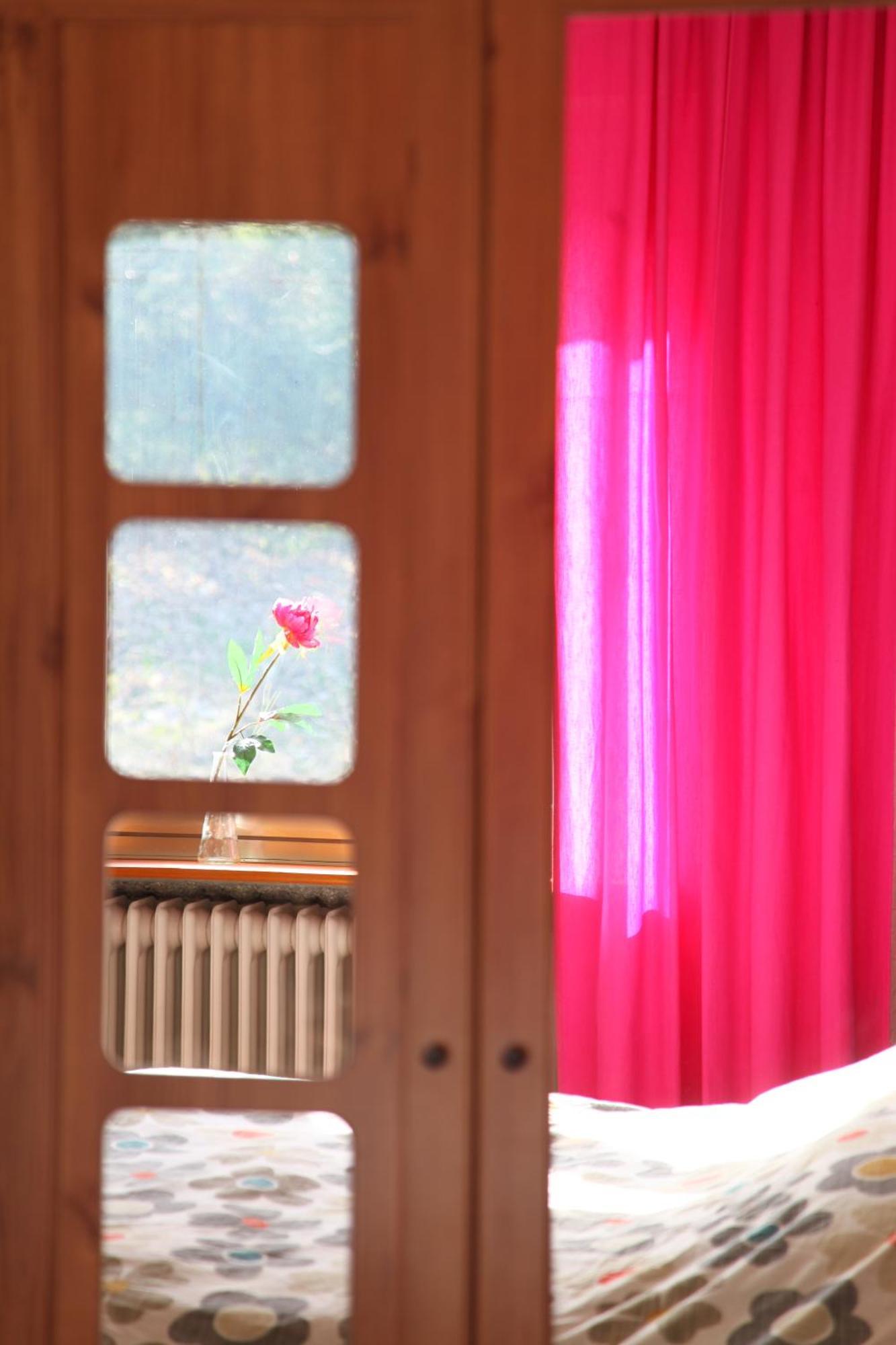 לינה וארוחת בוקר הלנברג Haus Nova Am Bollerberg מראה חיצוני תמונה